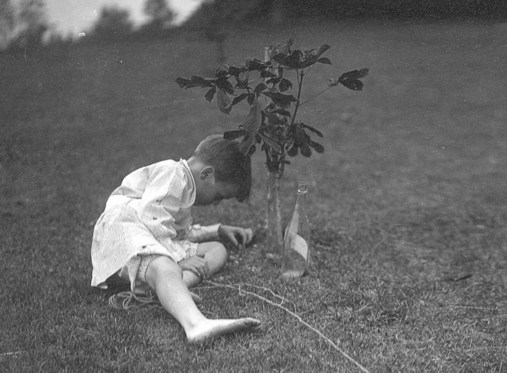 planting a tree (1904)